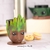 Mate 3D Groot