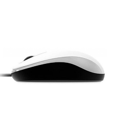 Mouse Genius DX-110 en internet