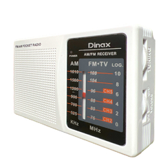 Radio FM AM Dinax DX-RADIOP1 en internet