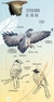 Aves de Córdoba y centro de Argentina - Guía de campo - comprar online