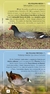 Aves de Córdoba y centro de Argentina - Guía de campo en internet