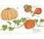 Inventario ilustrado de frutas y verduras - comprar online