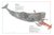 Inventario Ilustrado de los Mares - comprar online