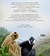 Ojos - Animales Extraordinarios - tienda online