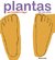 Plantas de los pies