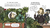 Plantas domesticadas y otros mutantes - comprar online