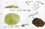POO a natural history of the unmentionable en internet