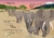 We travel so far - comprar online