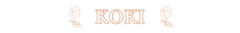 Banner de la categoría KOKI