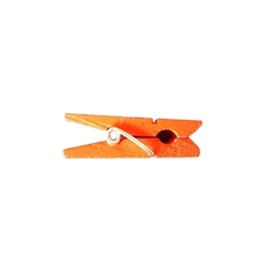 Mini prendedor de madeira 4.5 cm com 24 unidades colorido - Bijuterias Firmesa