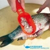 Descamador de peixe com depósito - comprar online