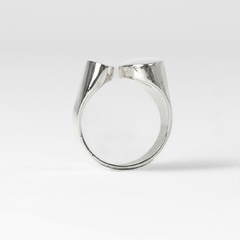 ANILLO FUSIÓN BRIO - PLATA 950 - comprar online