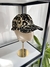 Cap leopardo