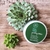 POMADA PAUL MITCHELL TEA TREE GROOMING 85GR - loja online