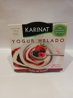 Yogurt Helado Karinat x 120Grs