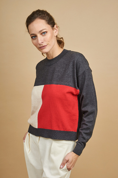Sweater tricolor SW31