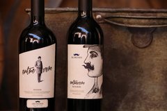 Mix Vinos tintos - Entrevero Wines - caja x 6