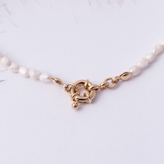 chocker Charlotte - comprar online