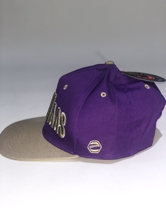 Gorra Cool Haas Violeta / Marron - comprar online