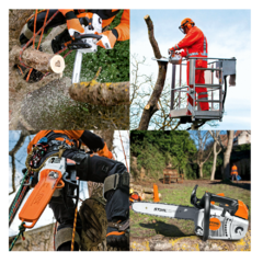 Motosierra de poda Stihl Ms 201 T, 2.4 en internet