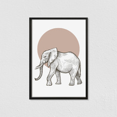 África Elefante - Blue Rabbit Design