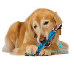 Brinquedo Cachorro Mordedor Orka Stick - comprar online