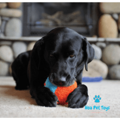Chuckit! Indoor ball - Compre brinquedos de Enriquecimento Ambiental para Pets | Hoa Pet Toys