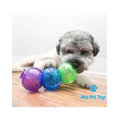 KONG Bola Lock-it Colorida - Compre brinquedos de Enriquecimento Ambiental para Pets | Hoa Pet Toys