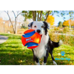 Chuckit! Bola Kick Fetch - Compre brinquedos de Enriquecimento Ambiental para Pets | Hoa Pet Toys