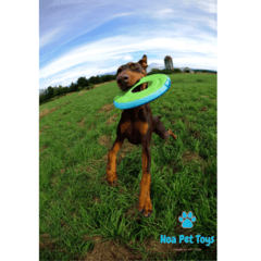 Chuckit! Zipflight Frisbee - Compre brinquedos de Enriquecimento Ambiental para Pets | Hoa Pet Toys