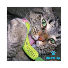Brinquedo para Gatos Appeteasers com 2 unidades - Compre brinquedos de Enriquecimento Ambiental para Pets | Hoa Pet Toys