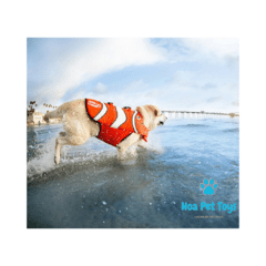 Colete Salva Vidas Nemo - comprar online