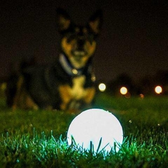 Bola Brilhante Max Glow Ball ChuckIt Brilha Escuro Cães - Compre brinquedos de Enriquecimento Ambiental para Pets | Hoa Pet Toys