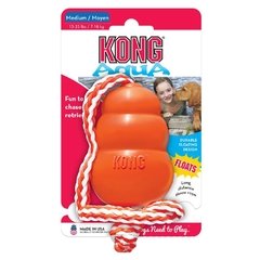 Kong Aqua na internet