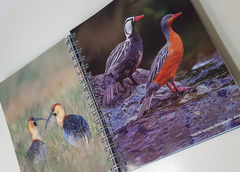 CUADERNO 16 X 21 RAYADO en internet