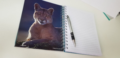 CUADERNO 16 X 21 RAYADO - tienda online