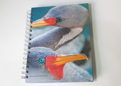 CUADERNO 16 X 21 RAYADO