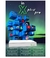 Receptor X Plus Pro 4K 4gb ram 64gb rom - Dtsinfocellrp