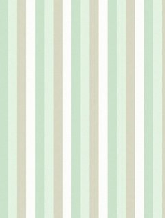 Tecido Algodão Baby Stripes Celadon - 22382