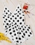 R34403 CONJUNTO DOTS