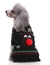 R99489 FASHION PET CLOTHES - Silvia Internacional