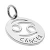 Dije Acero Quirúrgico Signo Zodiaco Cancer 3,2 cm / 500ZO-9