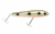 ISCA OCL CONTROL MINNOW 120 - comprar online