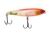 ISCA JACKALL BONNIE 95 SILENT - Rei da Pesca