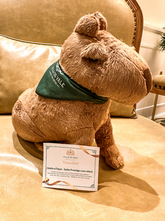 Voucher para presente com a capivara do Villa