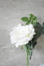 Rosas tallo corto - Bromelia Design