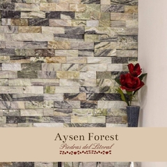 Aysen Forest