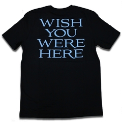 Camiseta Oficial Pink Floyd Wish You Were Here Oficial Licenciada - comprar online