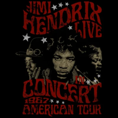 Camiseta Jimi Hendrix Manga Longa 100% Algodão Premium - comprar online