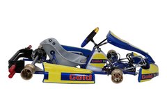 chasis karting completo gold DD2 Rotax Righetti ridolfi en internet